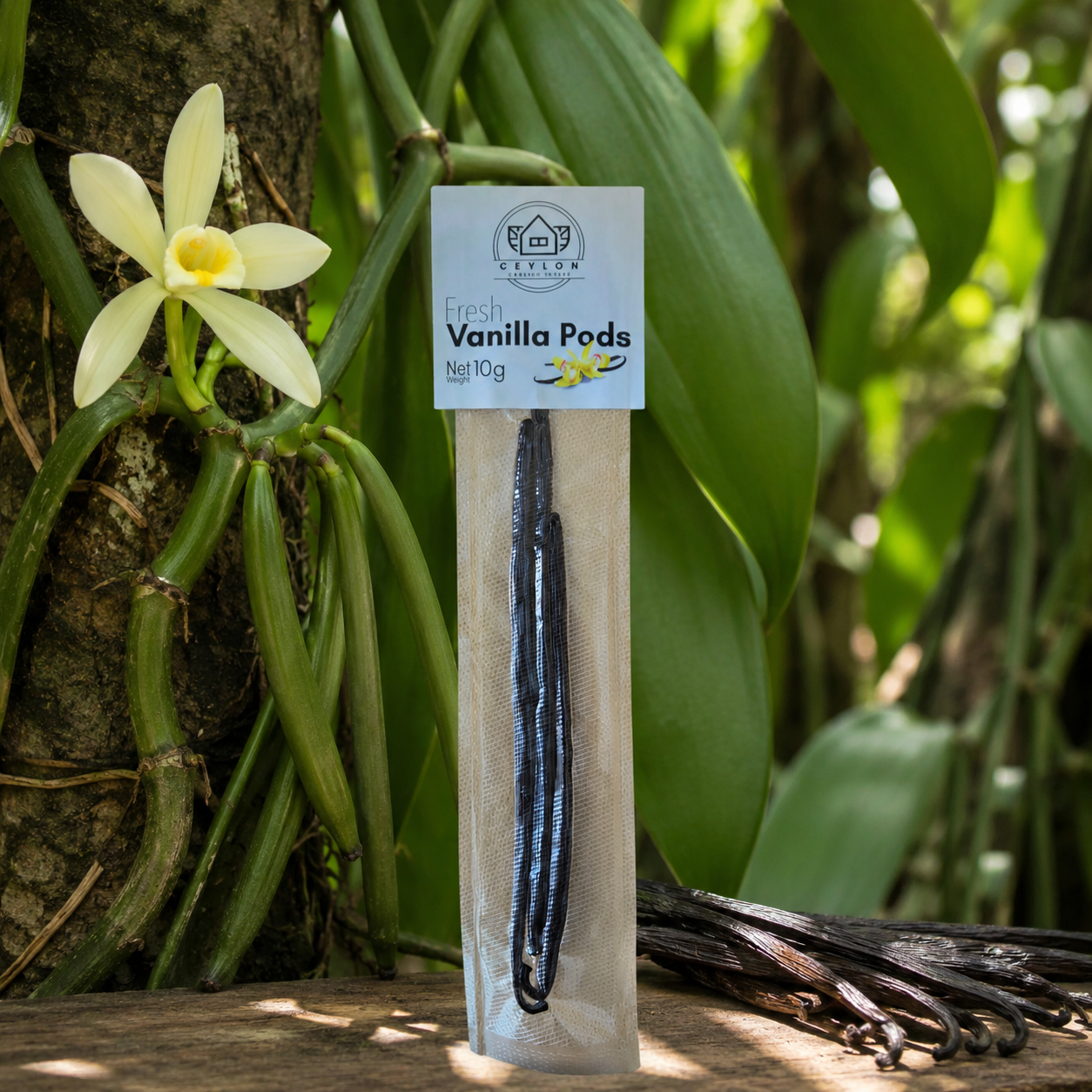 Ceylon Vanilla Pods 10g
