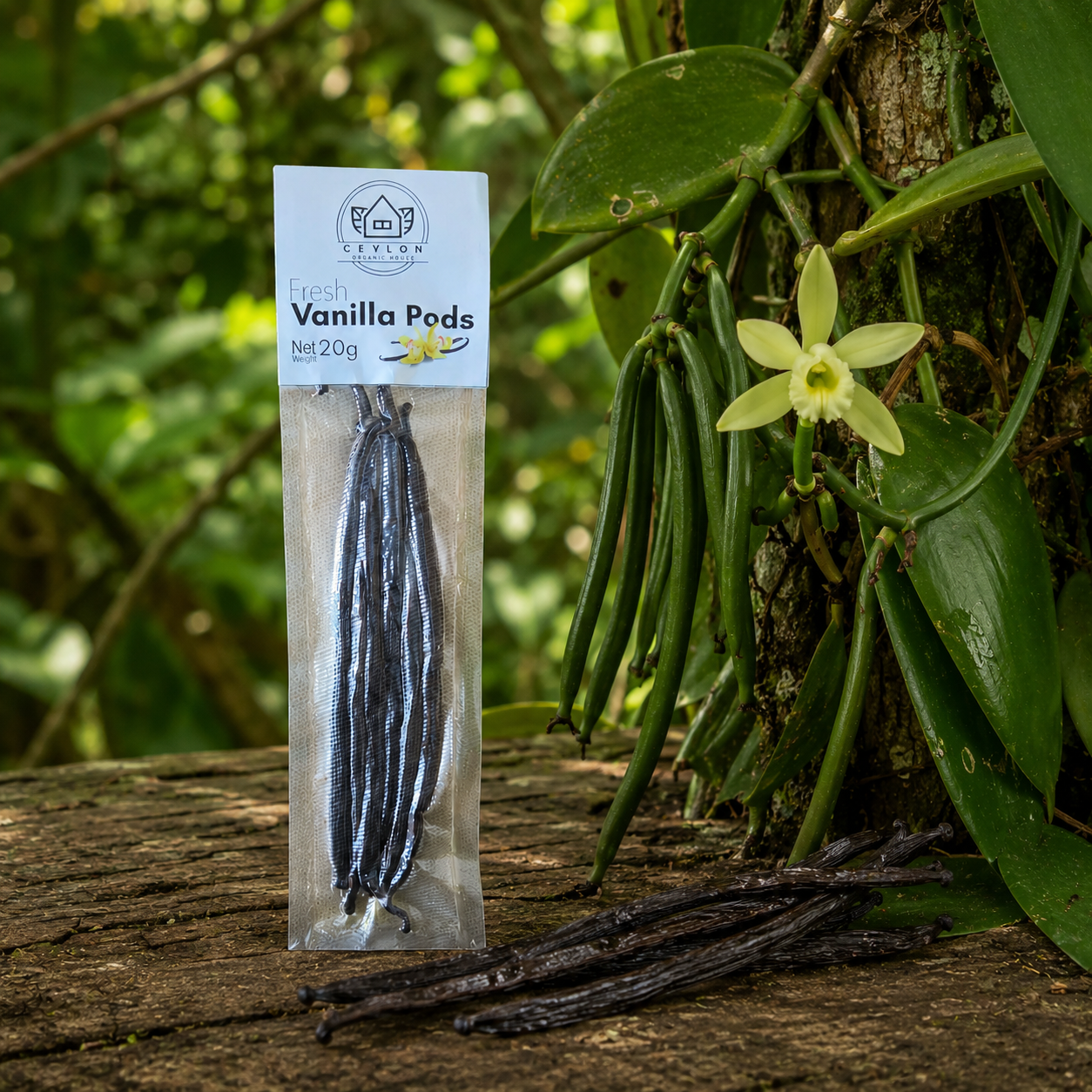 Ceylon Vanilla Pods 20g